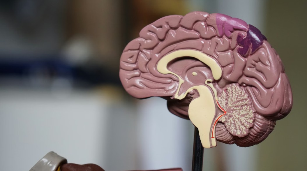 Advanced Acne Solutions